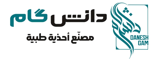 حذاء دانش‌گام